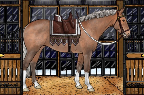 Horse Color:Silver Brown Rabicano