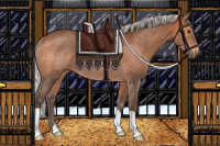 Horse Color:Silver Brown Rabicano 