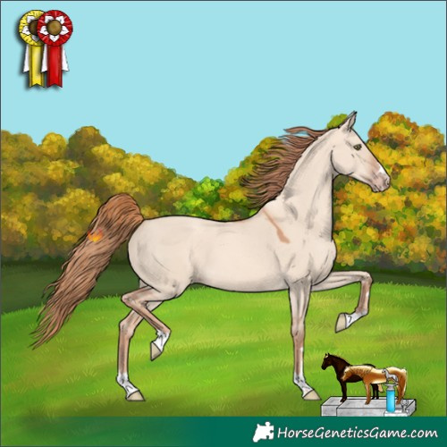 Horse Color:Gold Champagne Dun