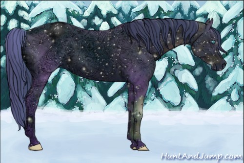 Horse Color:ERROR: UNKNOWN ANOMALY