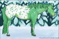 Horse Color:Platinum Watercolor White Spotted Chocolate Black Appaloosa Rabicano