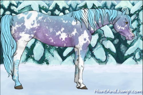 Horse Color:Watercolor White Spotted Brown Appaloosa Rabicano