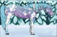 Horse Color:Watercolor White Spotted Brown Blanket Rabicano 