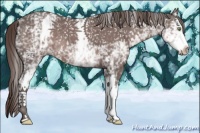 Horse Color:Platinum White Spotted Liver Chestnut 