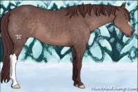 Horse Color:Platinum Chocolate Brown 