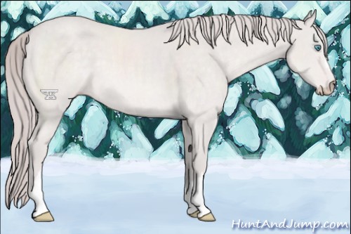 Horse Color:Platinum Perlino