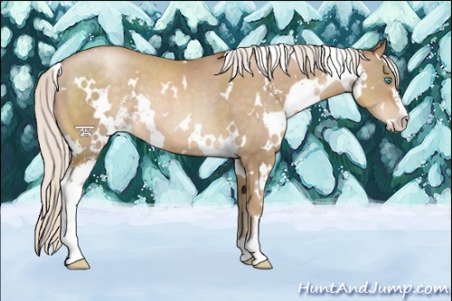 Horse Color:White Spotted Silver Smoky Black Pearl Sabino Rabicano 
