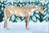 Horse Color:White Spotted Silver Smoky Black Pearl Sabino Rabicano 