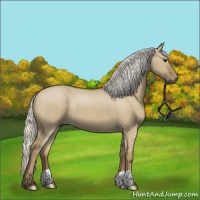 Horse Color:Silver Smoky Grullo 