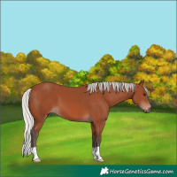 Horse Color:Silver Brown Mushroom 