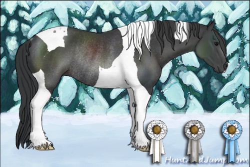 Horse Color:Black Tobiano Rabicano