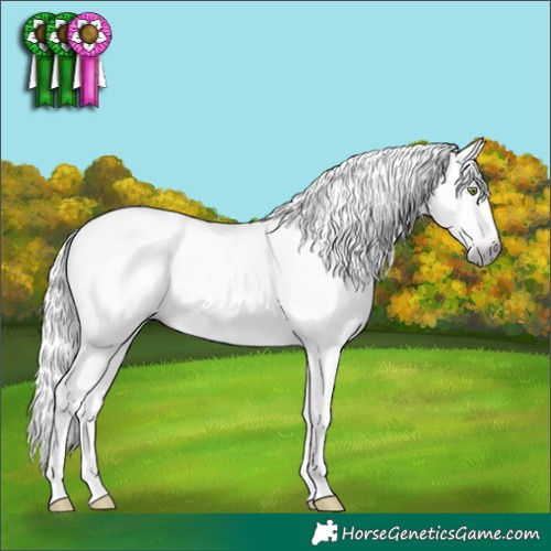 Horse Color:Gray Amber Champagne Dun Tobiano 