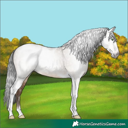 Horse Color:Gray Sable Champagne Dun Tobiano 