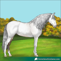 Horse Color:Gray Sable Champagne Dun Tobiano 