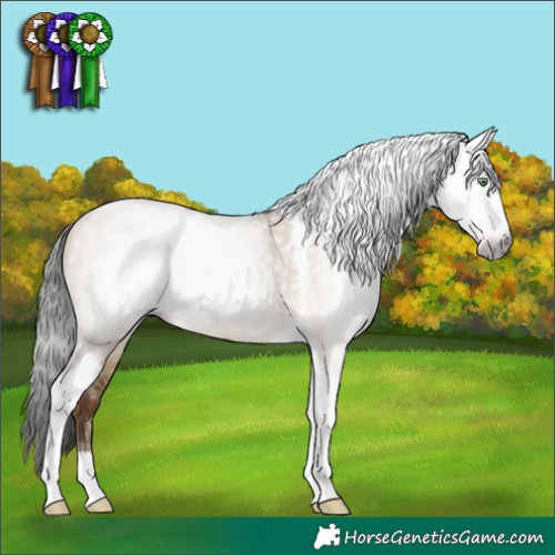 Horse Color:Gray Sable Champagne Dun Tobiano 