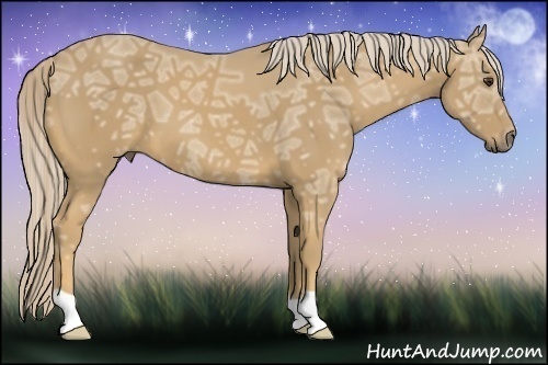 Horse Color:Palomino Ice 