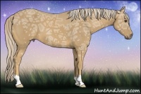 Horse Color:Palomino Ice 