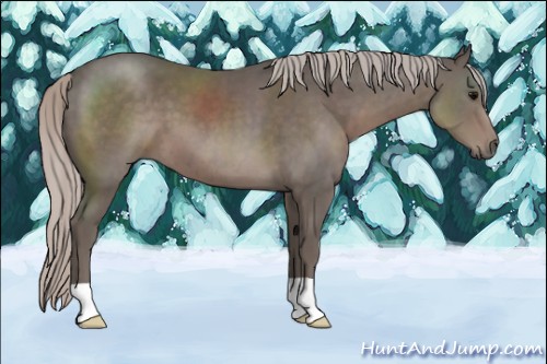 Horse Color:Silver Black 