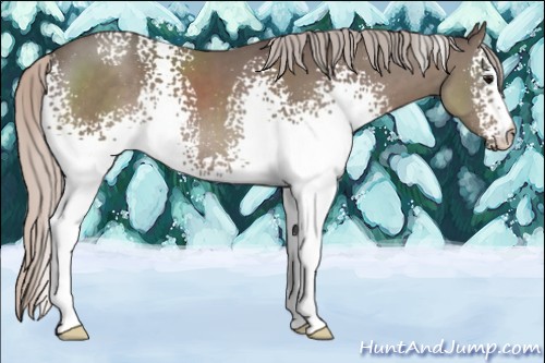 Horse Color:White Spotted Silver Black 