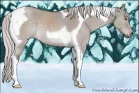 Horse Color:Platinum Silver Buckskin Dun Tobiano 