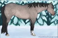 Horse Color:Platinum Brown Dun 