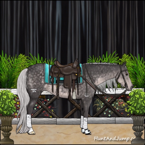 Horse Color:Platinum Silver Smoky Black 