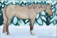 Horse Color:Silver Grullo Roan 