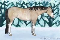 Horse Color:Brown Dun Sabino Rabicano 