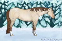 Horse Color:Brown Pearl Dun 