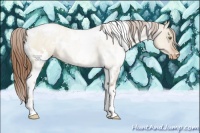 Horse Color:White Spotted Brown Pearl Dun Varnish 
