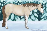 Horse Color:Grullo Pearl Sabino 