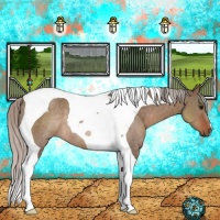 Horse Color:Silver Brown Dun Tobiano Rabicano