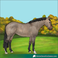 Horse Color:Brown Dun Brindle 