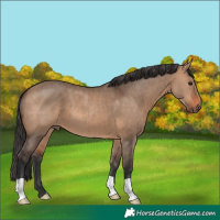 Horse Color:Brown Dun Brindle