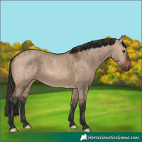 Horse Color:Brown Dun Brindle 
