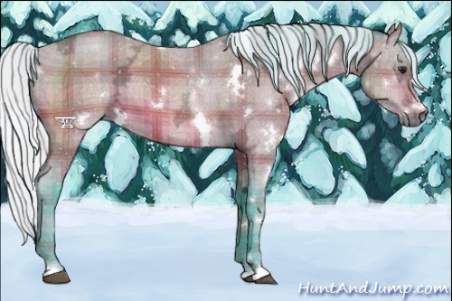Horse Color:Watercolor Plaid White Spotted Silver Bay Ice