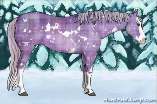 Horse Color:Plaid  White Spotted Silver Brown Dun Splash 