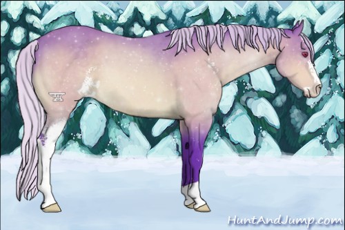 Horse Color:Watercolor Silver Bay Chinchilla Sabino 