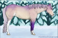 Horse Color:Watercolor Silver Bay Chinchilla Sabino 