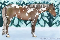 Horse Color:White Spotted Silver Black 