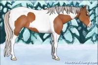 Horse Color:Silver Brown Tobiano 