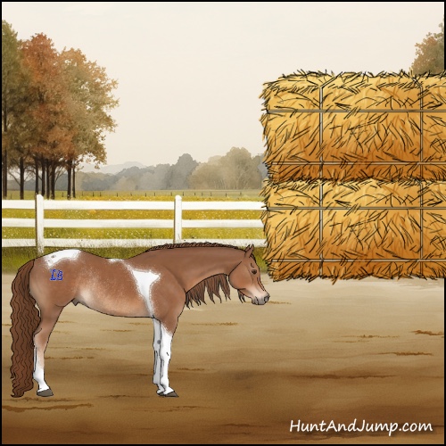 Horse Color:Chestnut Tobiano Rabicano 