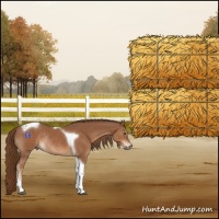 Horse Color:Chestnut Tobiano Rabicano 
