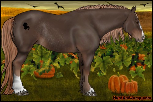 Horse Color:Liver Chestnut Sabino Rabicano 