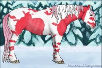 Horse Color:Watercolor Liver Chestnut Splash Tobiano Rabicano 