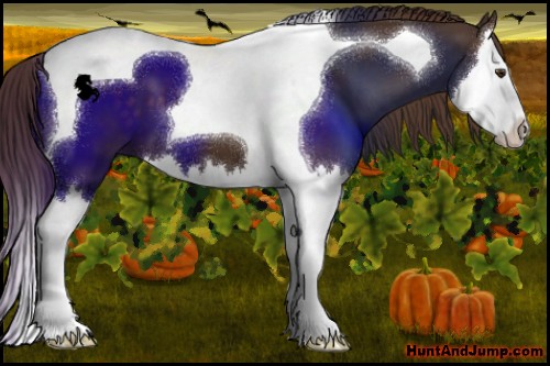 Horse Color:Liver Chestnut Splash Tobiano 