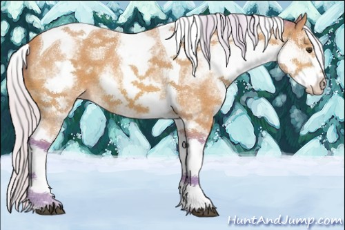 Horse Color:Watercolor White Spotted Silver Bay Tobiano