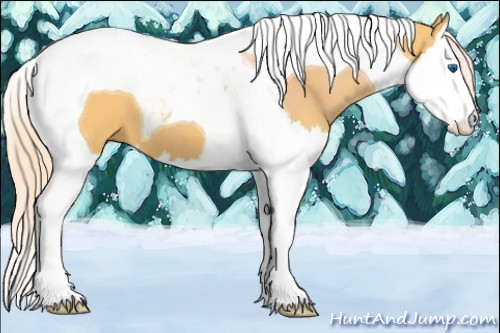 Horse Color:Palomino Splash Tobiano 