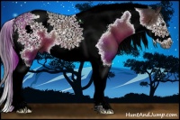 Horse Color:Brown Splash Tobiano Frame 