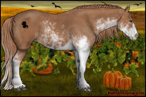 Horse Color:Chestnut Sabino 